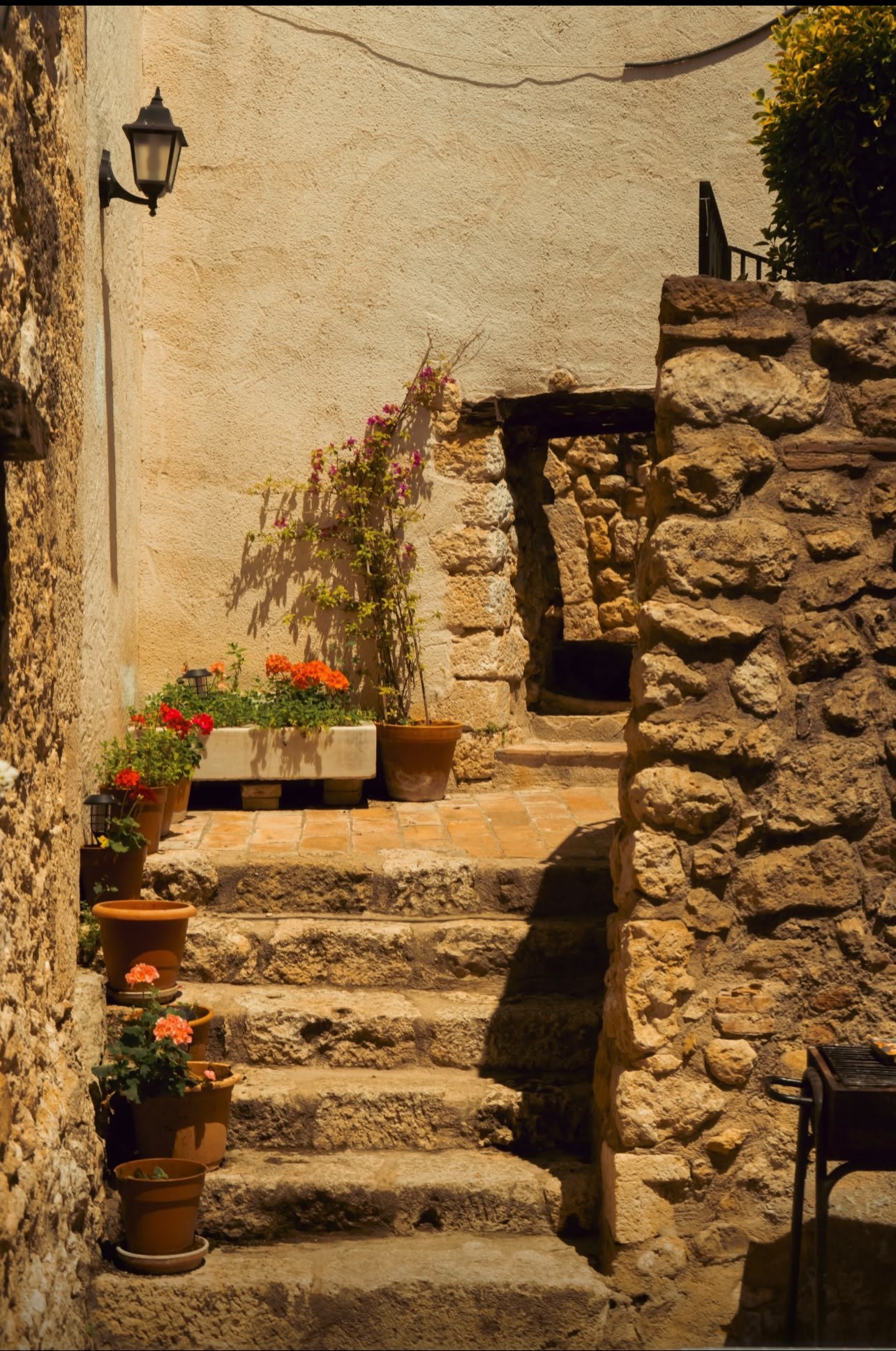 Old stone village steps lined with potted geraniums in the afternoon sun