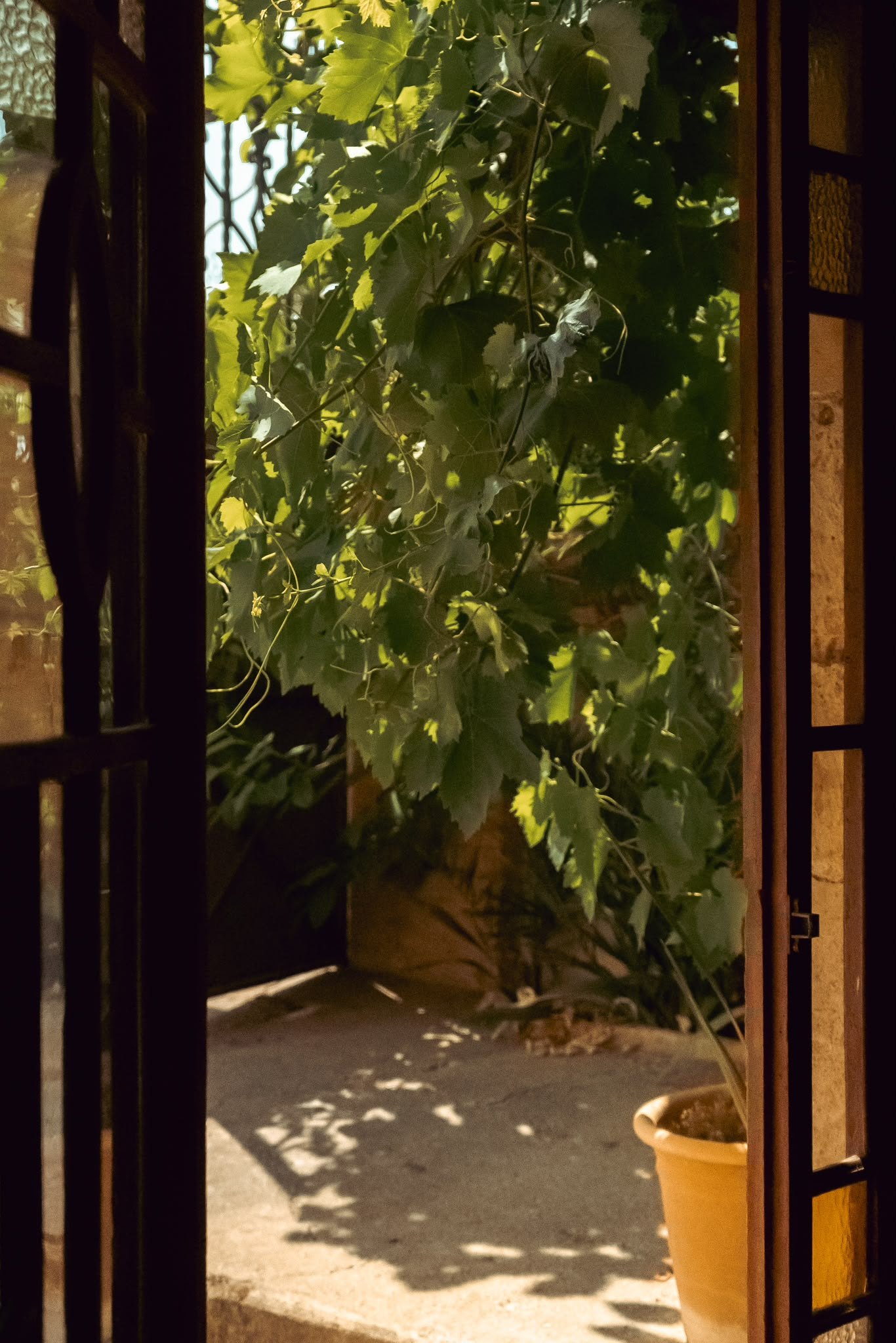 An open doorway looking out onto a vine-shaded courtyard