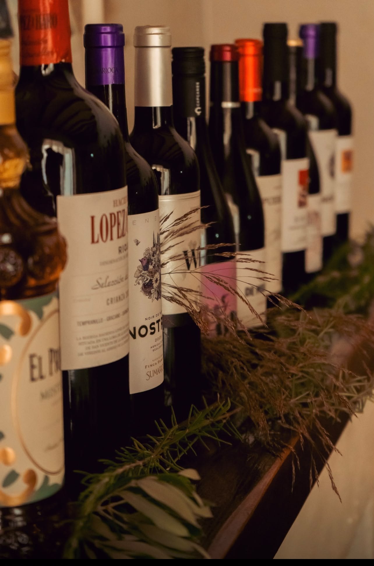 A row of local red wines lined up on the table