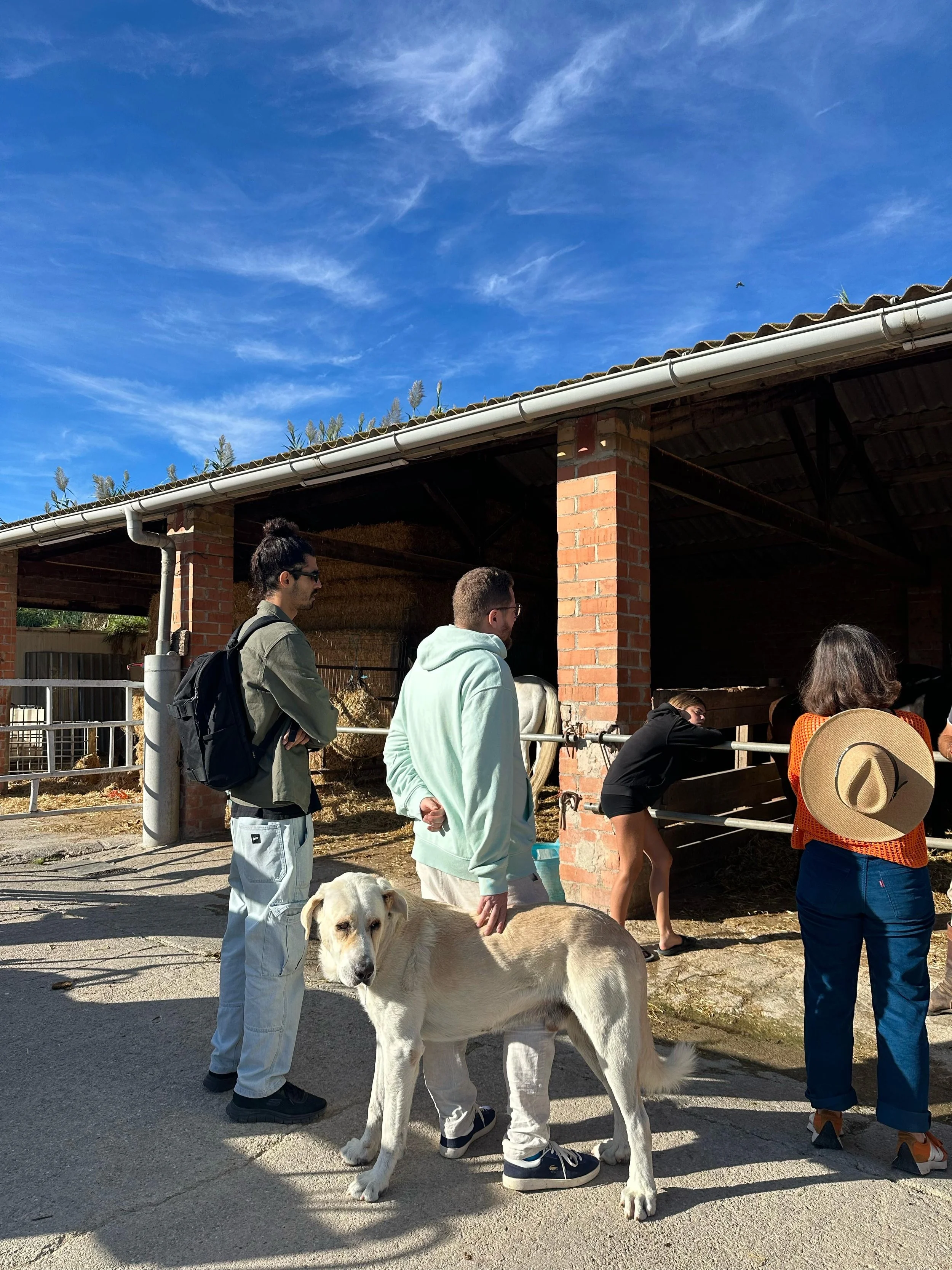 The group outside the winery on the tasting tour