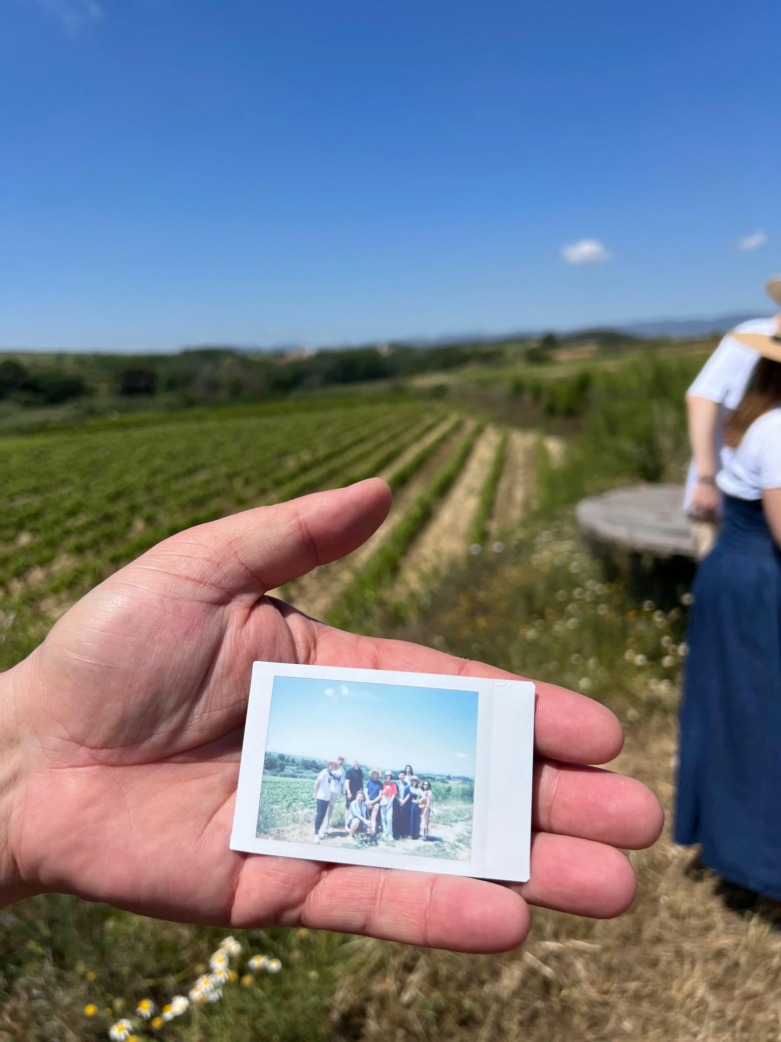 A polaroid of the group held up against the vineyard behind it